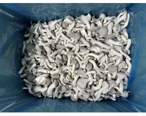 河北供應速凍姬菇出口級