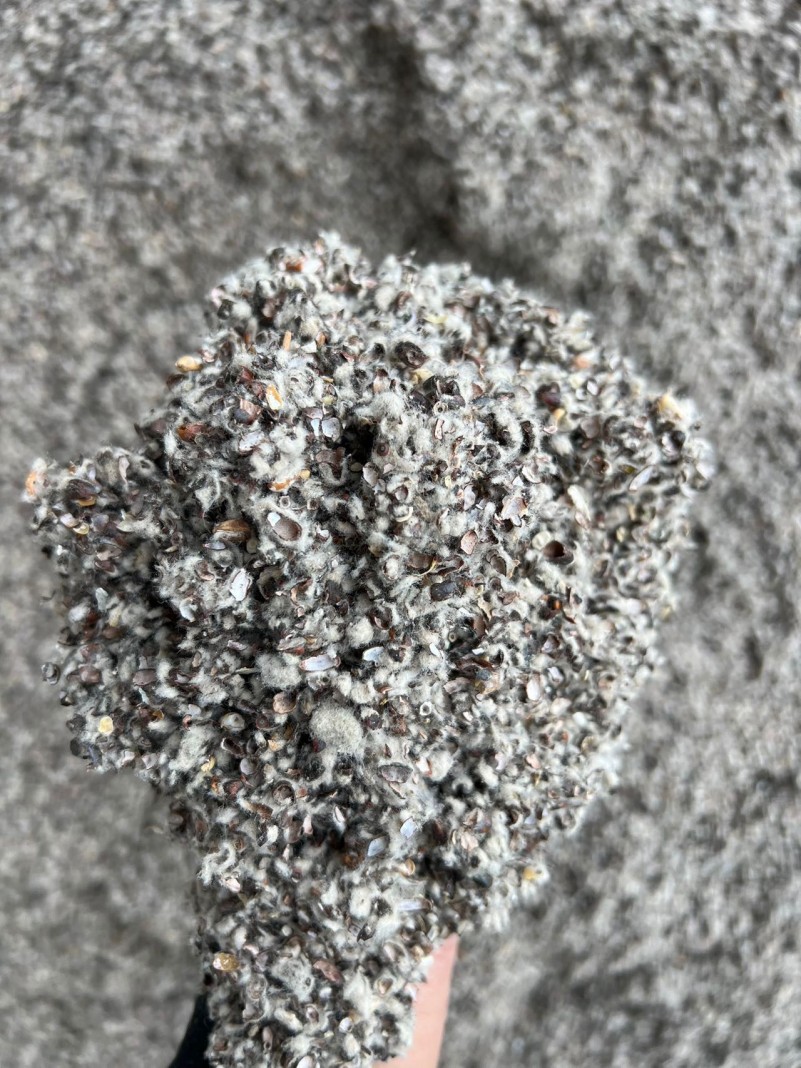 銷售新疆優質棉殼、棉籽、棉粕