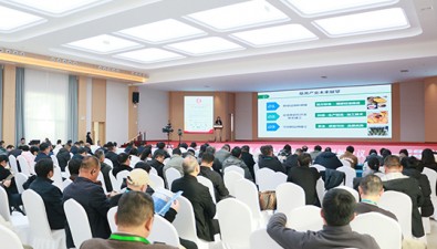 專(zhuān)家報(bào)告，為我國(guó)食藥用菌產(chǎn)業(yè)高質(zhì)量發(fā)展賦能