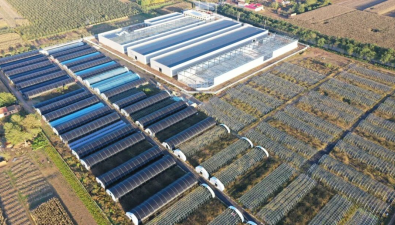 甘肅：寧縣平子鎮(zhèn)食用菌全產(chǎn)業(yè)鏈項目建成投產(chǎn)