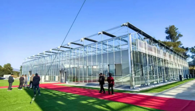 云南洱源縣：鄧川鎮(zhèn)高標(biāo)準(zhǔn)工廠(chǎng)化食用菌栽培項(xiàng)目通過(guò)驗(yàn)收